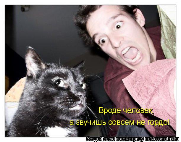 Вроде человек, а звучишь совсем не гордо!... Котоматрица: Вроде человек, а звучишь совсем не гордо!