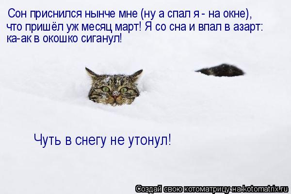 Сон приснился нынче мне (ну а спал я - на окне), что пришёл уж месяц март! Я со сна и впал в азарт: к... Котоматрица: Сон приснился нынче мне (ну а спал я - на окне), что пришёл уж месяц март! Я со сна и впал в азарт: ка-ак в окошко сиганул! Чуть в снегу не утонул!