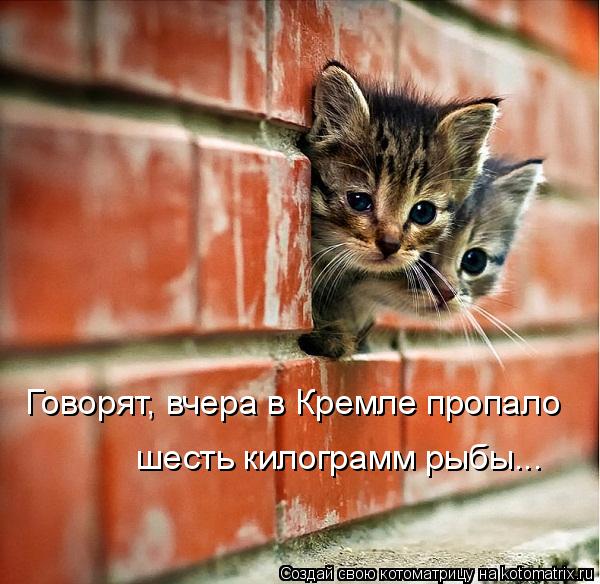 Говорят, вчера в Кремле пропало шесть килограмм рыбы...... Котоматрица: Говорят, вчера в Кремле пропало шесть килограмм рыбы...