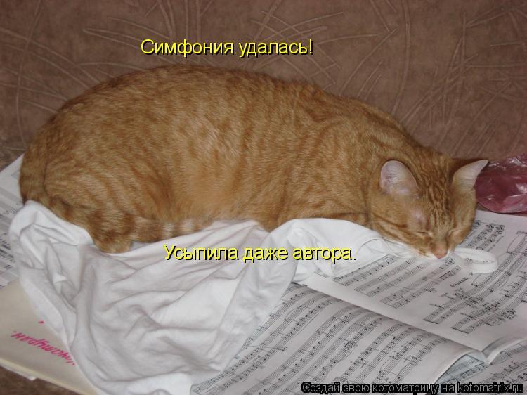 Котоматрица: Симфония удалась!  Усыпила даже автора.
