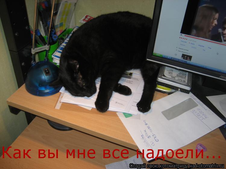 Котоматрица: Как вы мне все надоели...