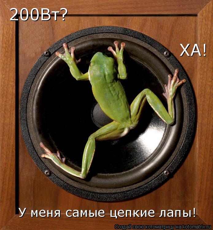 Котоматрица: 200Вт? ХА! У меня самые цепкие лапы!