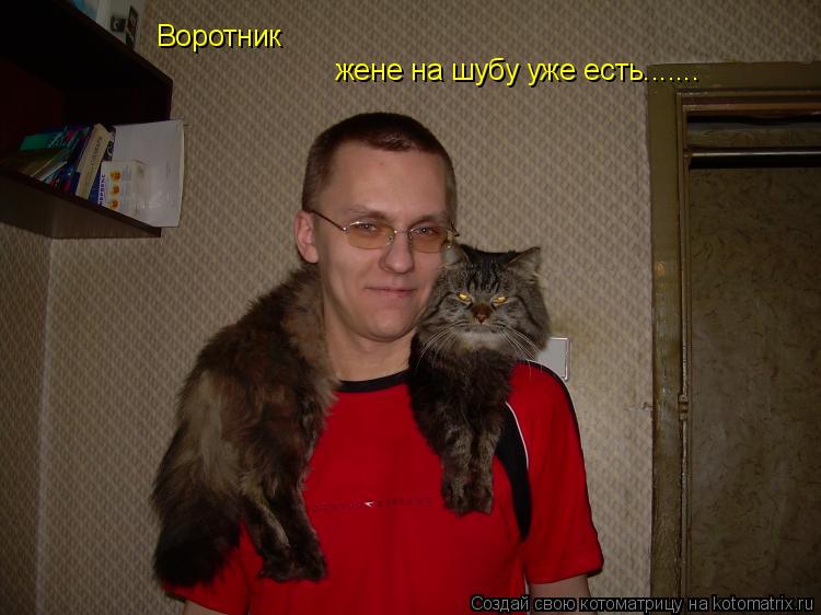 Котоматрица: Воротник жене на шубу уже есть.......