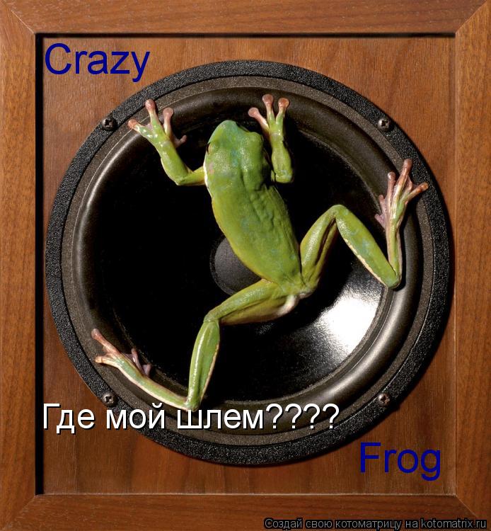 Котоматрица: Crazy Frog Где мой шлем????