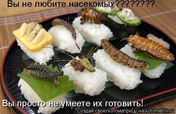 Вы не любите насекомых???????? Вы просто не умеете их готовить!... Котоматрица: Вы не любите насекомых???????? Вы просто не умеете их готовить!