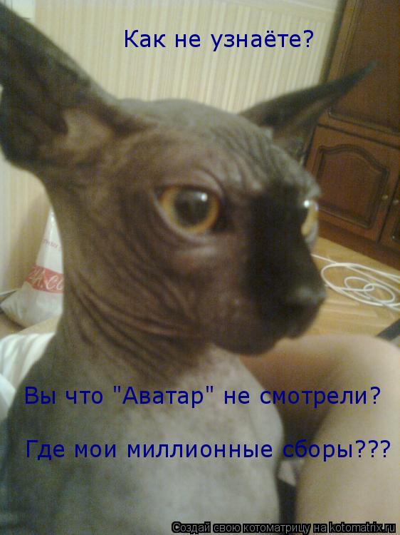Как не узнаёте? Вы что "Аватар" не смотрели? Где мои миллионные сборы???... Котоматрица: Как не узнаёте? Вы что "Аватар" не смотрели? Где мои миллионные сборы???