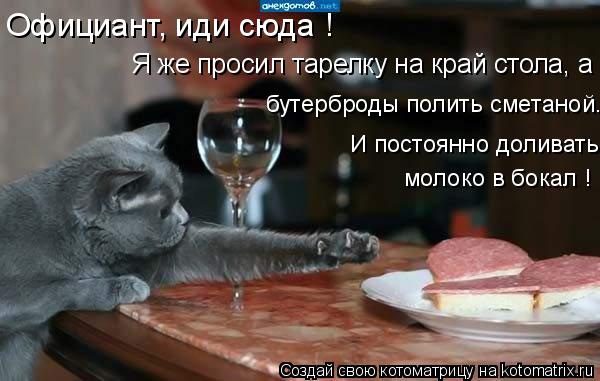 молоко в бокал ! Я же просил тарелку на край стола, а бутерброды полить сметаной. Официант, иди сюда ... Котоматрица: молоко в бокал ! Я же просил тарелку на край стола, а бутерброды полить сметаной. Официант, иди сюда ! И постоянно доливать