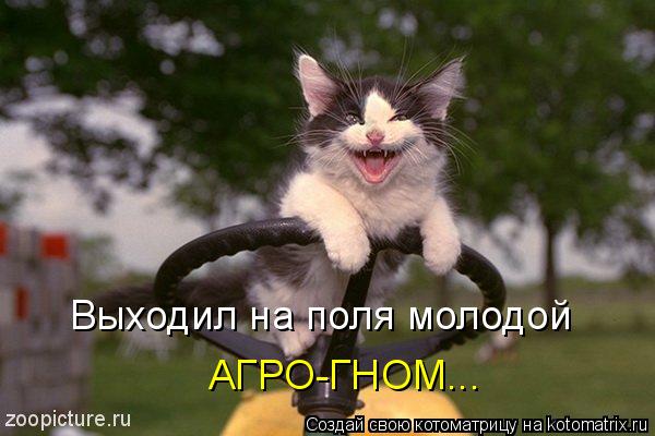 Выходил на поля молодой АГРО-ГНОМ...... Котоматрица: Выходил на поля молодой АГРО-ГНОМ...