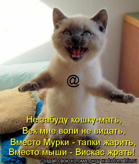 @ Вместо мыши - Вискас жрать! Вместо Мурки - тапки жарить, Век мне воли не видать, Не забуду кошку-ма... Котоматрица: @ Вместо мыши - Вискас жрать! Вместо Мурки - тапки жарить, Век мне воли не видать, Не забуду кошку-мать,