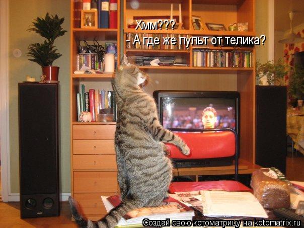 Хмм??? - А где же пульт от телика?... Котоматрица: Хмм??? - А где же пульт от телика?