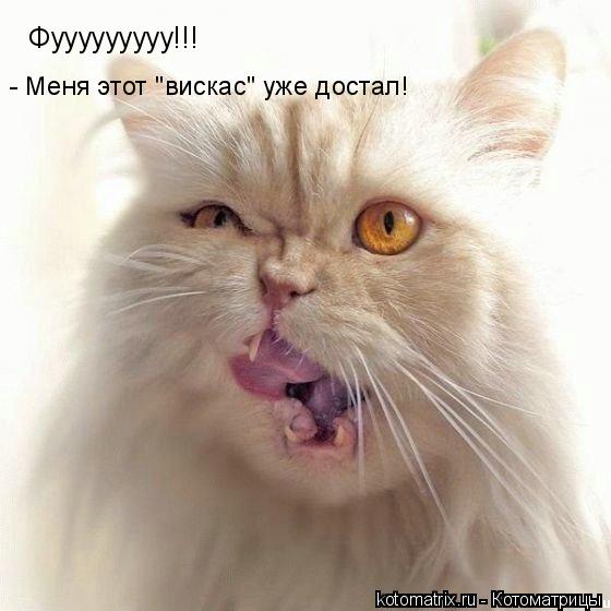 Фууууууууу!!! - Меня этот "вискас" уже достал!... Котоматрица: Фууууууууу!!! - Меня этот "вискас" уже достал!