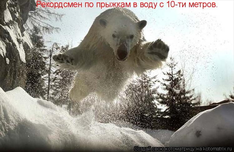 Рекордсмен по прыжкам в воду с 10-ти метров.... Котоматрица: Рекордсмен по прыжкам в воду с 10-ти метров.