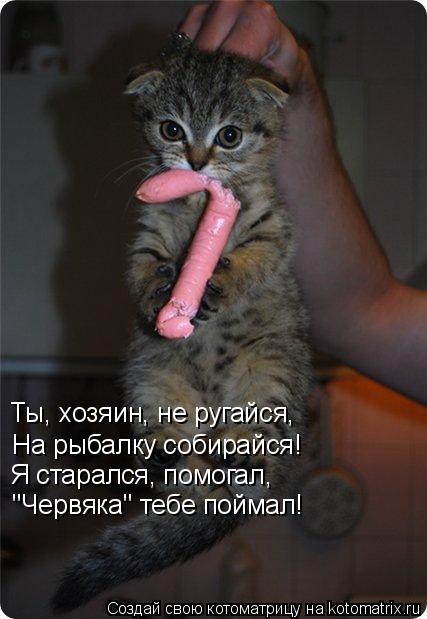 Ты, хозяин, не ругайся, На рыбалку собирайся! Я старался, помогал, "Червяка" тебе поймал!... Котоматрица: Ты, хозяин, не ругайся, На рыбалку собирайся! Я старался, помогал, "Червяка" тебе поймал!