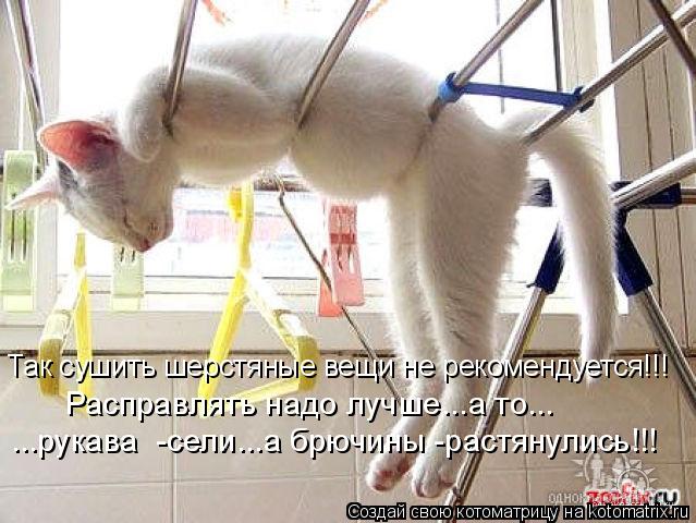 Котоматрица: Так сушить шерстяные вещи не рекомендуется!!! Расправлять надо лучше...а то... ...рукава  -сели...а брючины -растянулись!!!