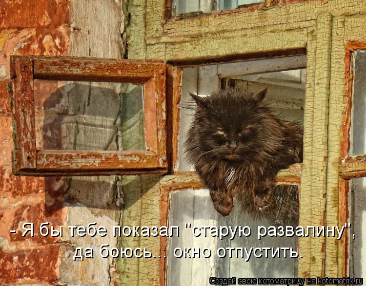 - Я бы тебе показал "старую развалину", да боюсь... окно отпустить.... Котоматрица: - Я бы тебе показал "старую развалину", да боюсь... окно отпустить.