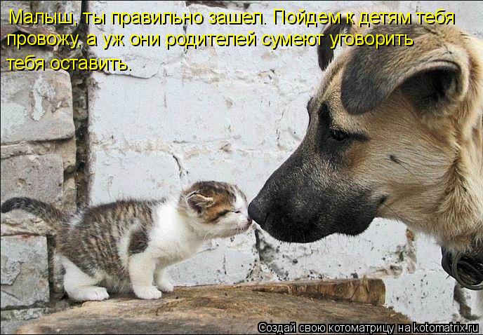 Малыш, ты правильно зашел. Пойдем к детям тебя провожу, а уж они родителей сумеют уговорить тебя оста... Котоматрица: Малыш, ты правильно зашел. Пойдем к детям тебя провожу, а уж они родителей сумеют уговорить тебя оставить.