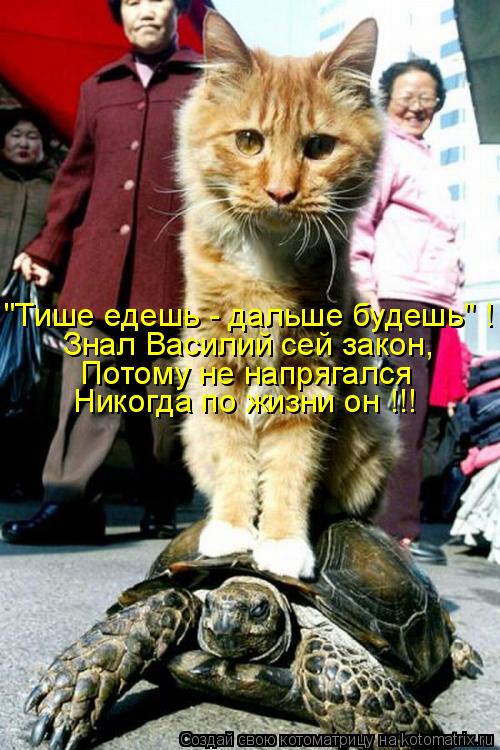 "Тише едешь - дальше будешь" ! Знал Василий сей закон, Потому не напрягался Никогда по жизни он !!!... Котоматрица: "Тише едешь - дальше будешь" ! Знал Василий сей закон, Потому не напрягался Никогда по жизни он !!!