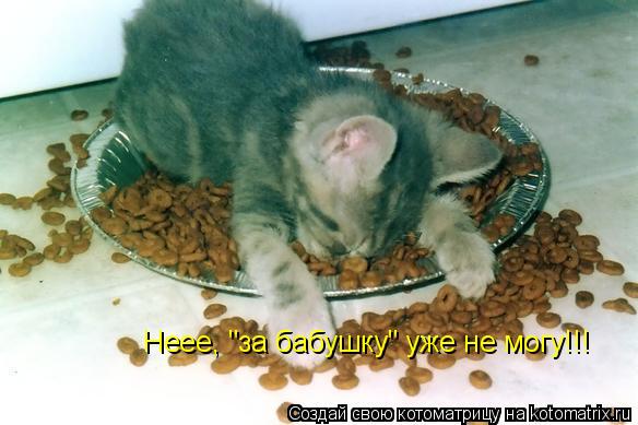Котоматрица: Неее, "за бабушку" уже не могу!!!