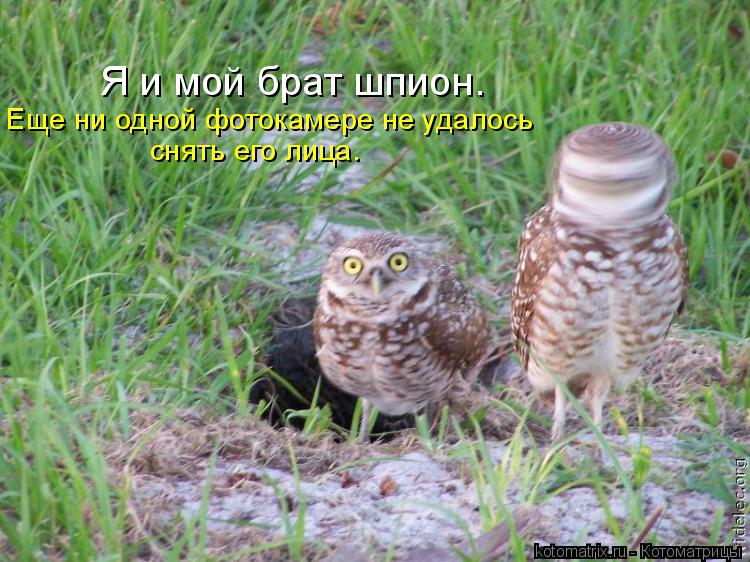 Я и мой брат шпион. Еще ни одной фотокамере не удалось снять его лица.... Котоматрица: Я и мой брат шпион. Еще ни одной фотокамере не удалось снять его лица.