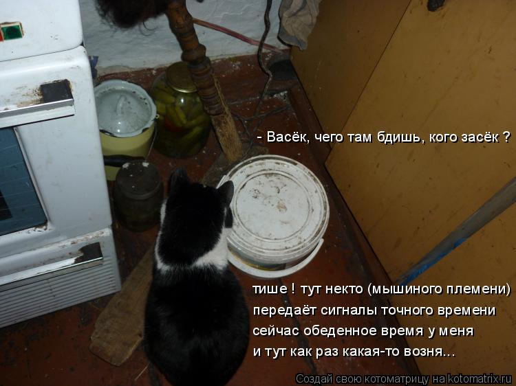 тише ! тут некто (мышиного племени) передаёт сигналы точного времени сейчас обеденное время у меня и ... Котоматрица: тише ! тут некто (мышиного племени) передаёт сигналы точного времени сейчас обеденное время у меня и тут как раз какая-то возня... - Васёк, чег