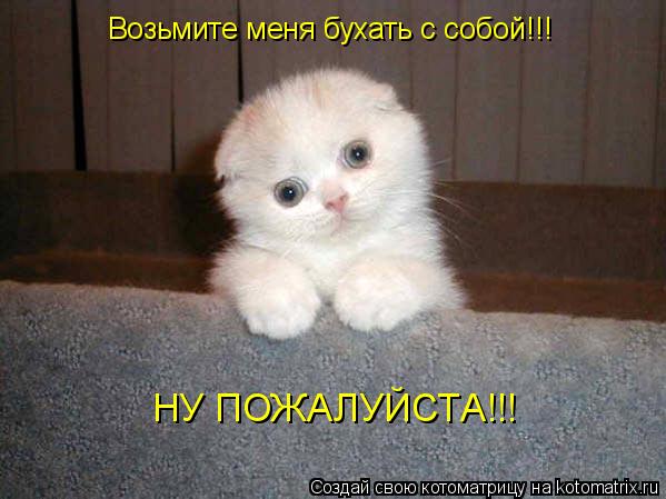 http://kotomatrix.ru/images/lolz/2010/01/12/456899.jpg