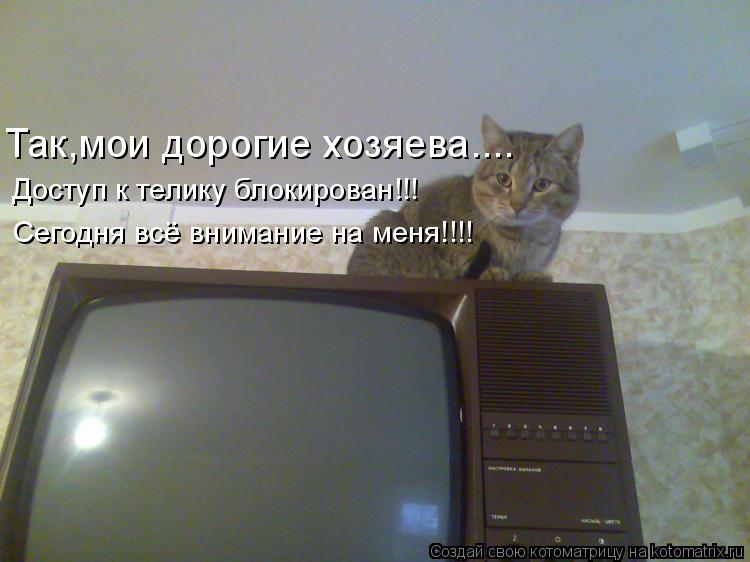 Котоматрица: Так,мои дорогие хозяева.... Доступ к телику блокирован!!! Сегодня всё внимание на меня!!!!