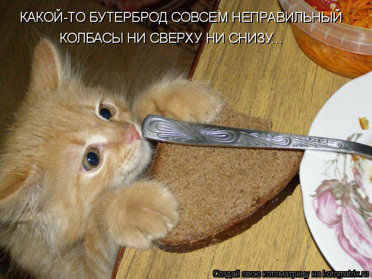 КАКОЙ-ТО БУТЕРБРОД СОВСЕМ НЕПРАВИЛЬНЫЙ КОЛБАСЫ НИ СВЕРХУ НИ СНИЗУ...... Котоматрица: КАКОЙ-ТО БУТЕРБРОД СОВСЕМ НЕПРАВИЛЬНЫЙ КОЛБАСЫ НИ СВЕРХУ НИ СНИЗУ...