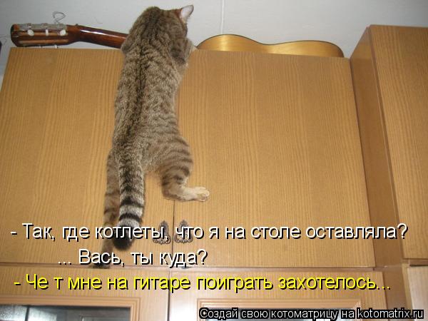 - Так, где котлеты, что я на столе оставляла? ... Вась, ты куда? - Че т мне на гитаре поиграть захоте... Котоматрица: - Так, где котлеты, что я на столе оставляла? ... Вась, ты куда? - Че т мне на гитаре поиграть захотелось...