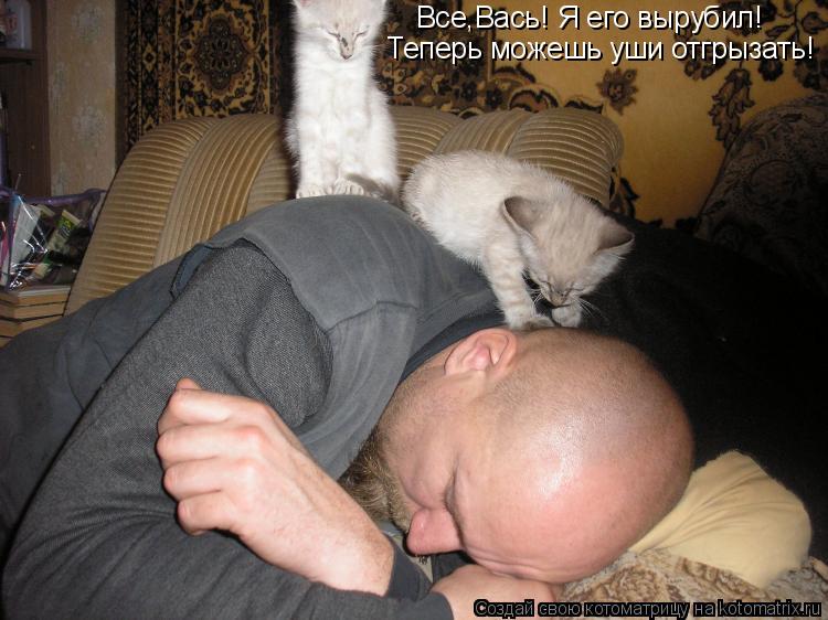 Котоматрица: Все,Вась! Я его вырубил! Теперь можешь уши отгрызать!