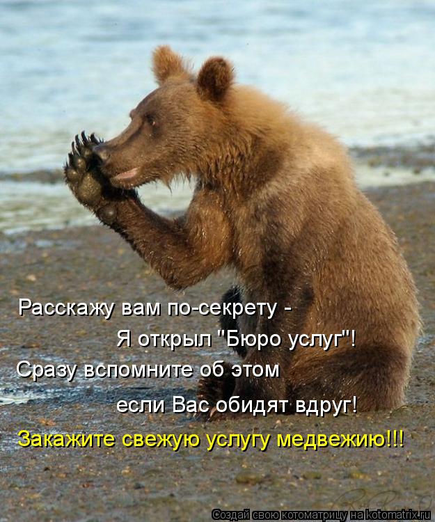 Расскажу вам по-секрету - Я открыл "Бюро услуг"! Сразу вспомните об этом если Вас обидят вдруг! Закаж... Котоматрица: Расскажу вам по-секрету - Я открыл "Бюро услуг"! Сразу вспомните об этом если Вас обидят вдруг! Закажите свежую услугу медвежию!!!