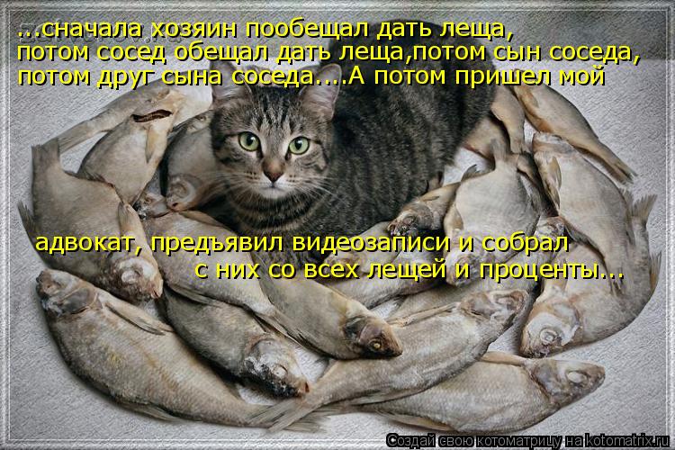http://kotomatrix.ru/images/lolz/2010/01/12/456944.jpg