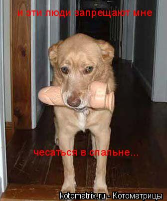 Котоматрица: и эти люди запрещают мне чесаться в спальне...