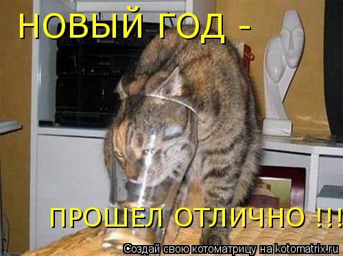 Котоматрица: НОВЫЙ ГОД - ПРОШЕЛ ОТЛИЧНО !!!