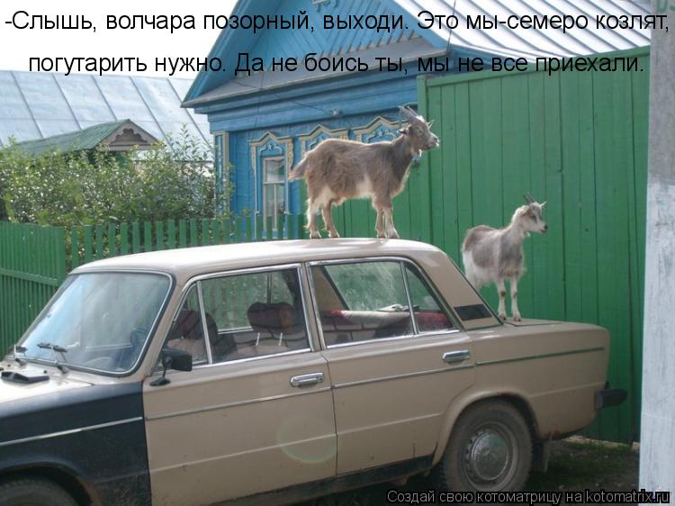 Котоматрица: -Слышь, волчара позорный, выходи. Это мы-семеро козлят, погутарить нужно. Да не боись ты, мы не все приехали.  погутарить нужно. Да не боись ты, 
