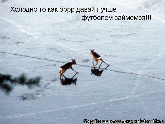 Котоматрица: Холодно то как бррр давай лучше  футболом займемся!!!