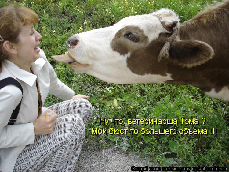 Мой бюст-то большего объёма !!! - Ну что, ветеринарша Тома ?... Котоматрица: Мой бюст-то большего объёма !!! - Ну что, ветеринарша Тома ?