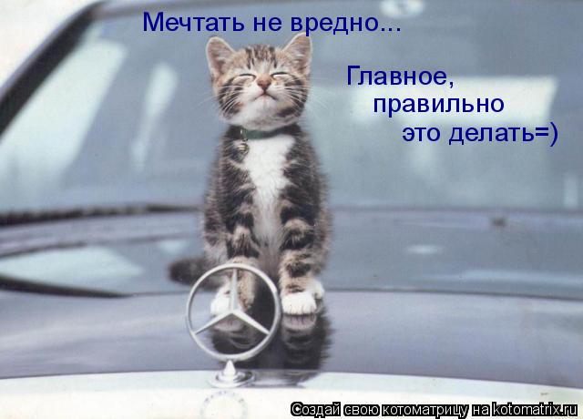 Котоматрица: Мечтать не вредно...Главное, правильно это делать=) Мечтать не вредно... Главное, правильно это делать=)