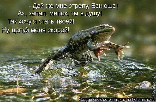 - Дай же мне стрелу, Ванюша! Ах, запал, милок, ты в душу! Так хочу я стать твоей! Ну, целуй меня скор... Котоматрица: - Дай же мне стрелу, Ванюша! Ах, запал, милок, ты в душу! Так хочу я стать твоей! Ну, целуй меня скорей!