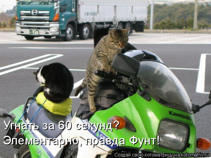 Котоматрица: Угнать за 60 секунд?  Элементарно, правда Фунт!