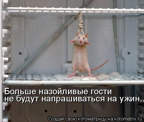 Котоматрица: Больше назойливые гости  не будут напрашиваться на ужин...