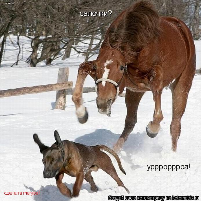 салочки? урррррррра! сделала marybal... Котоматрица: салочки? урррррррра! сделала marybal