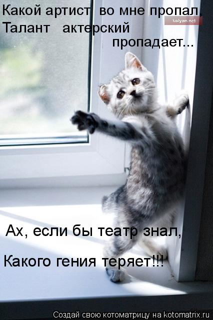 Ах, если бы театр знал, пропадает... Какой артист во мне пропал, Какого гения теряет!!! Талант акт... Котоматрица: Ах, если бы театр знал, пропадает... Какой артист во мне пропал, Какого гения теряет!!! Талант актерский