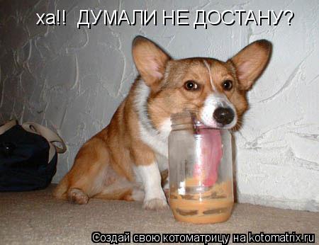 Котоматрица: ха!!  ДУМАЛИ НЕ ДОСТАНУ?