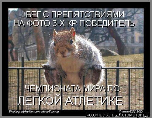 Котоматрица: БЕГ С ПРЕПЯТСТВИЯМИ НА ФОТО 3-Х КР ПОБЕДИТЕЛЬ ЧЕМПИОНАТА МИРА ПО  ЛЕГКОЙ АТЛЕТИКЕ