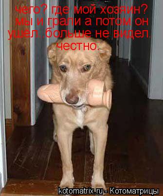 Котоматрица: чего? где мой хозяин? мы и грали а потом он ушёл..больше не видел. честно.