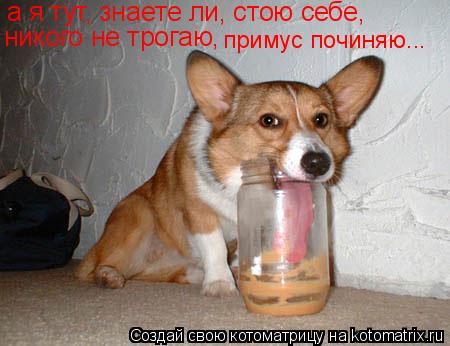 а я тут, знаете ли, стою себе, никого не трогаю, примус починяю...... Котоматрица: а я тут, знаете ли, стою себе, никого не трогаю, примус починяю...