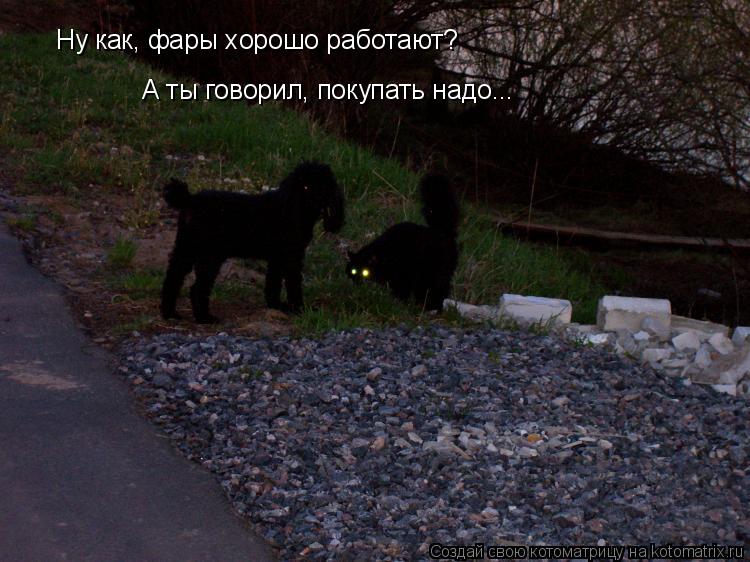 Ну как, фары хорошо работают? А ты говорил, покупать надо...... Котоматрица: Ну как, фары хорошо работают? А ты говорил, покупать надо...