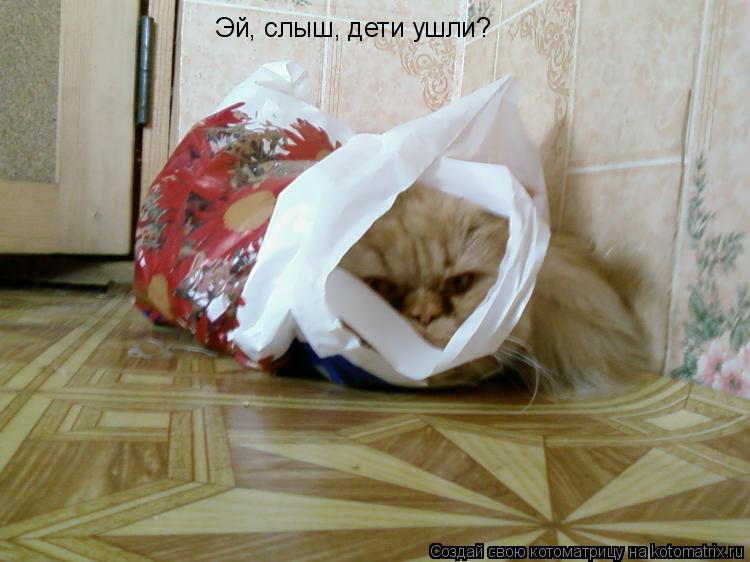 Эй, слыш, дети ушли?... Котоматрица: Эй, слыш, дети ушли?