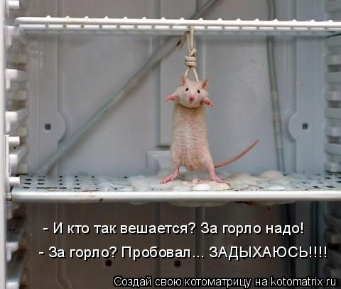 - И кто так вешается? За горло надо! - За горло? Пробовал... ЗАДЫХАЮСЬ!!!!... Котоматрица: - И кто так вешается? За горло надо! - За горло? Пробовал... ЗАДЫХАЮСЬ!!!!