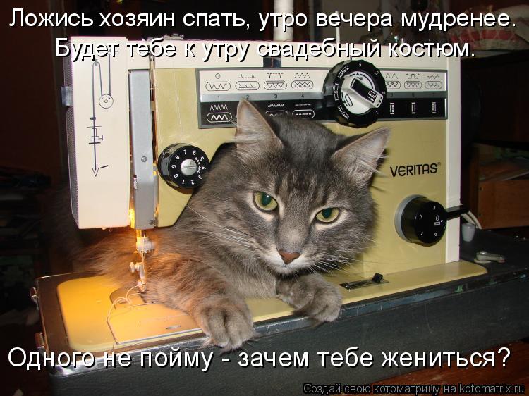 Котоматрица: Ложись хозяин спать, утро вечера мудренее. Будет тебе к утру свадебный костюм. Одного не пойму - зачем тебе жениться?